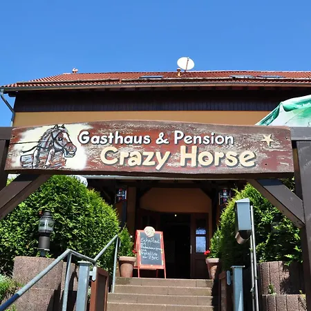 Casa de hóspedes Steakhouse & Crazy Horse 3*