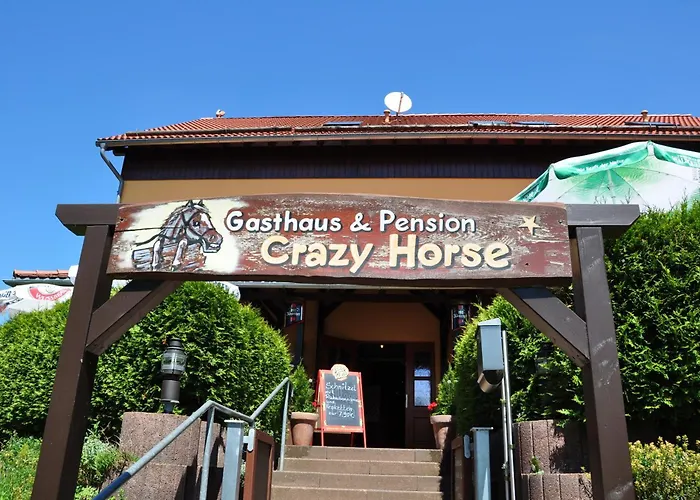 게스트하우스 Steakhouse & Crazy Horse 3*